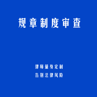 规章制度审查
