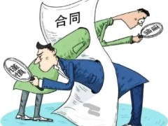 指导性案例249号:长春某泽投资有限公司诉德惠市某原种场等金融借款合同纠纷案